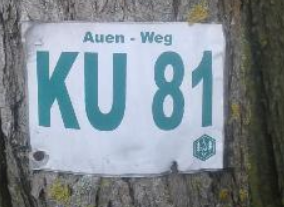 Auen_Weg_KU_81