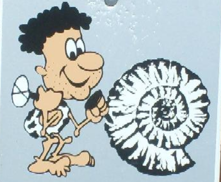 geopfad_hohenmirsberg_ammonit