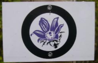 thuisbrunner_leitenweg